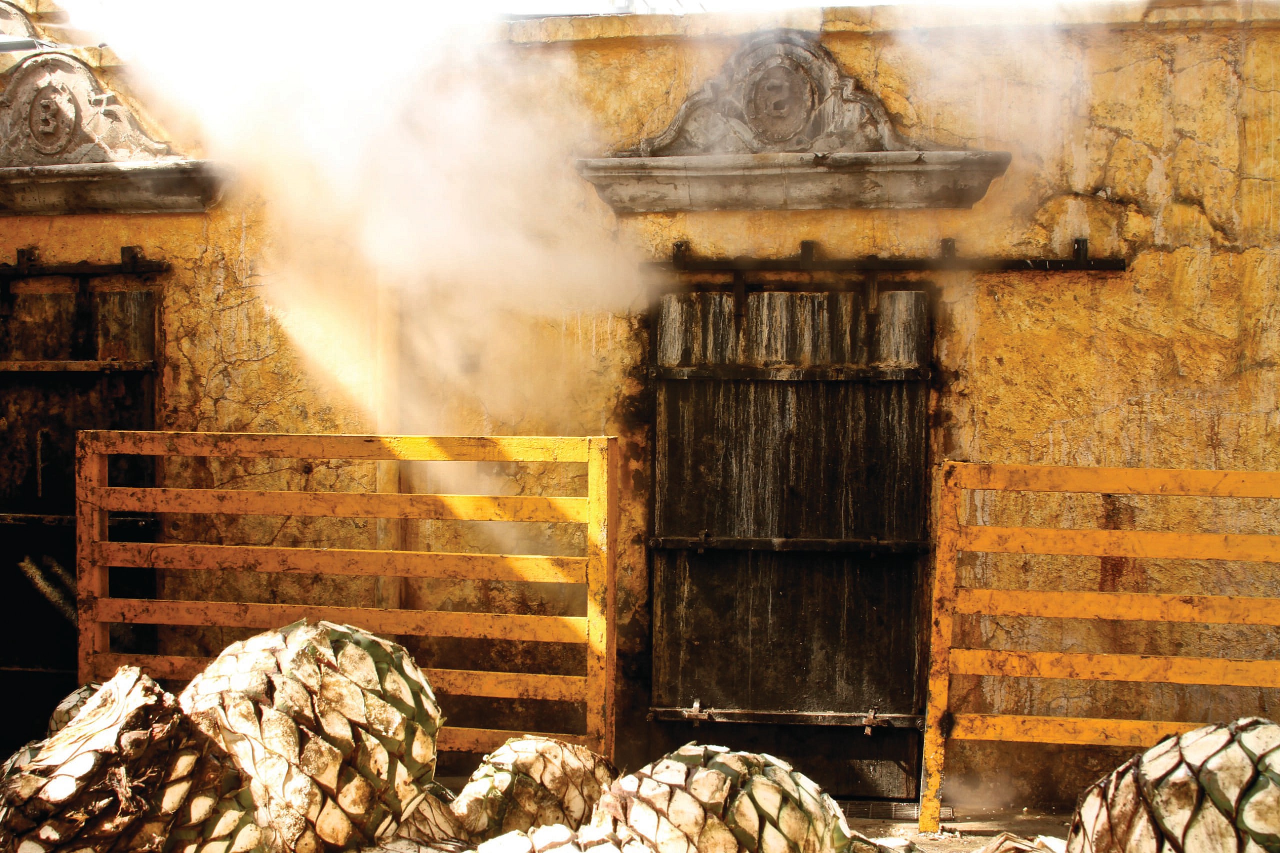 1218_TEQUILA_JALISCO.08
