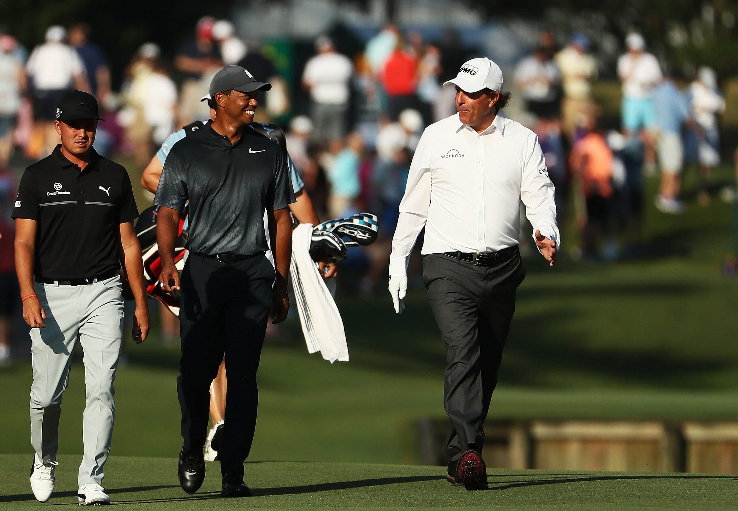 tiger phil