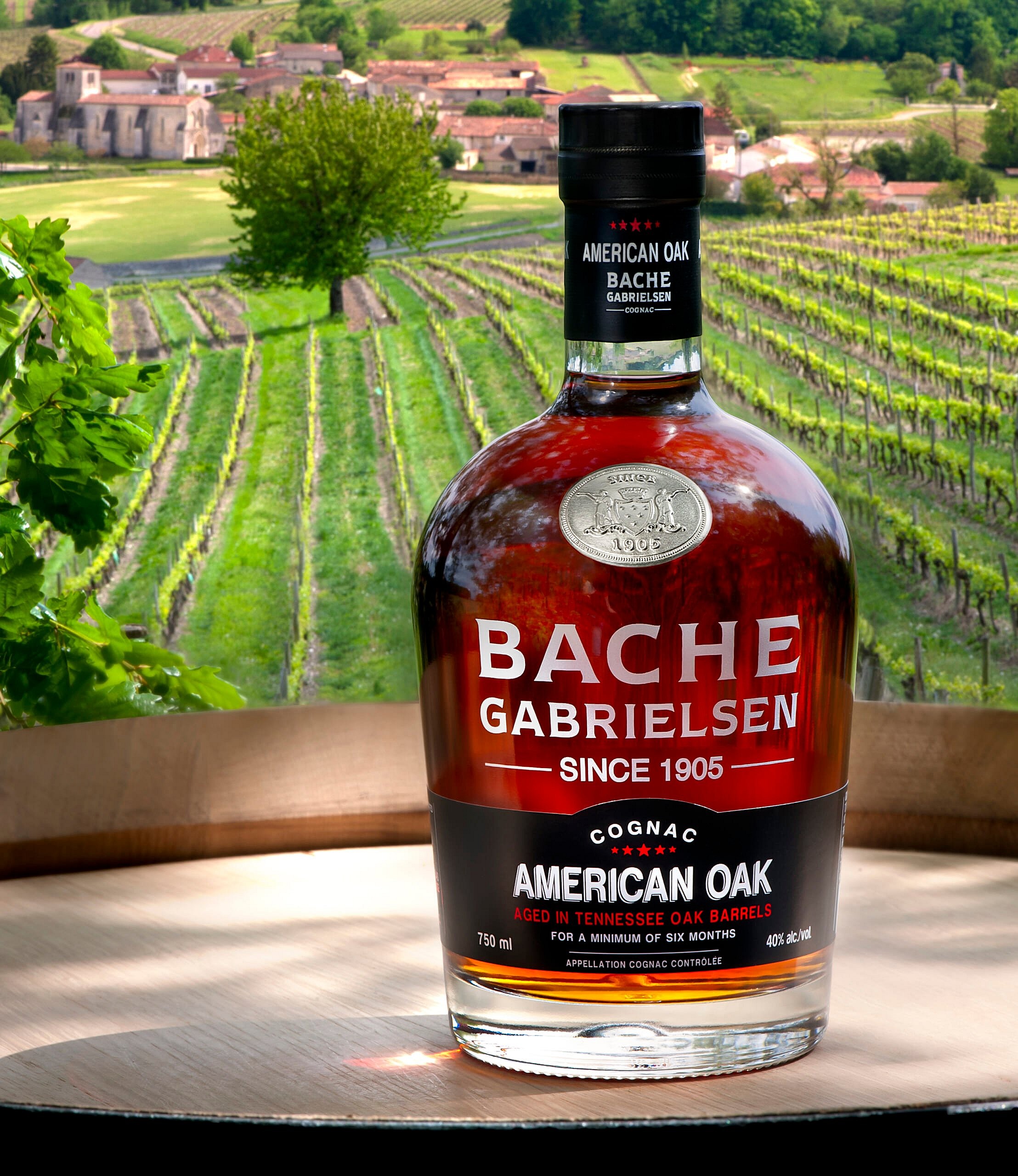 AMERICAN OAK - Portrait.jpg