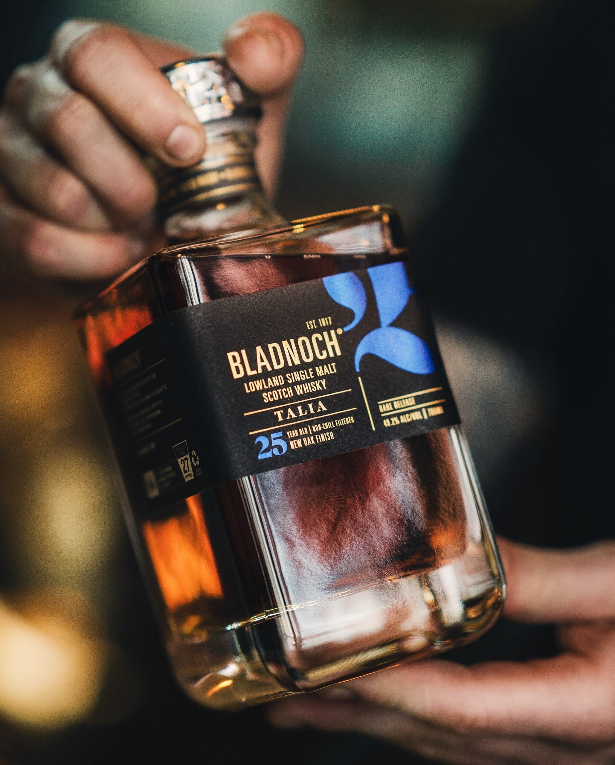Bladnoch 25  (6)