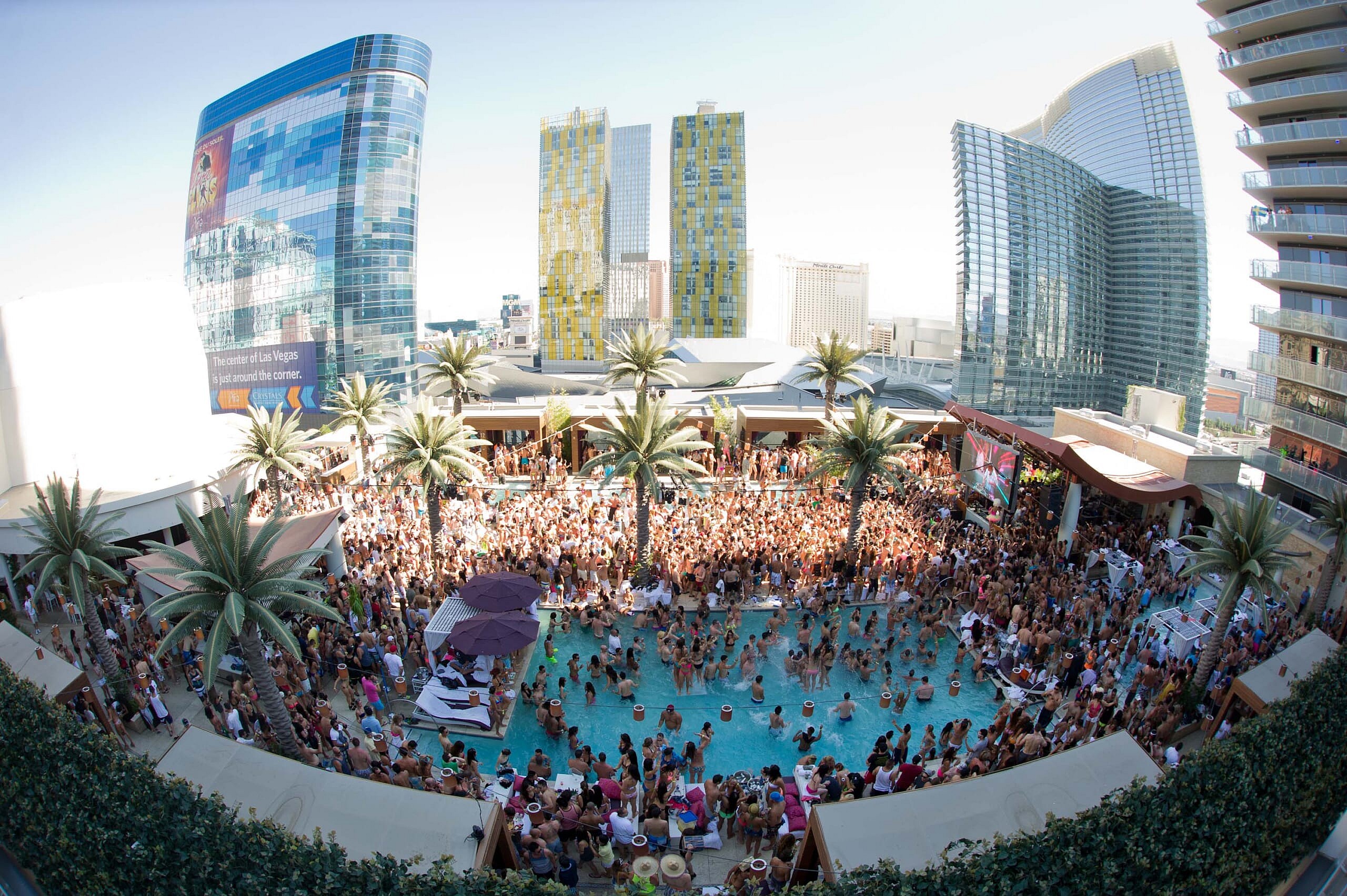 5-To Pool or Not to Pool_credit Marquee Las Vegas.jpg