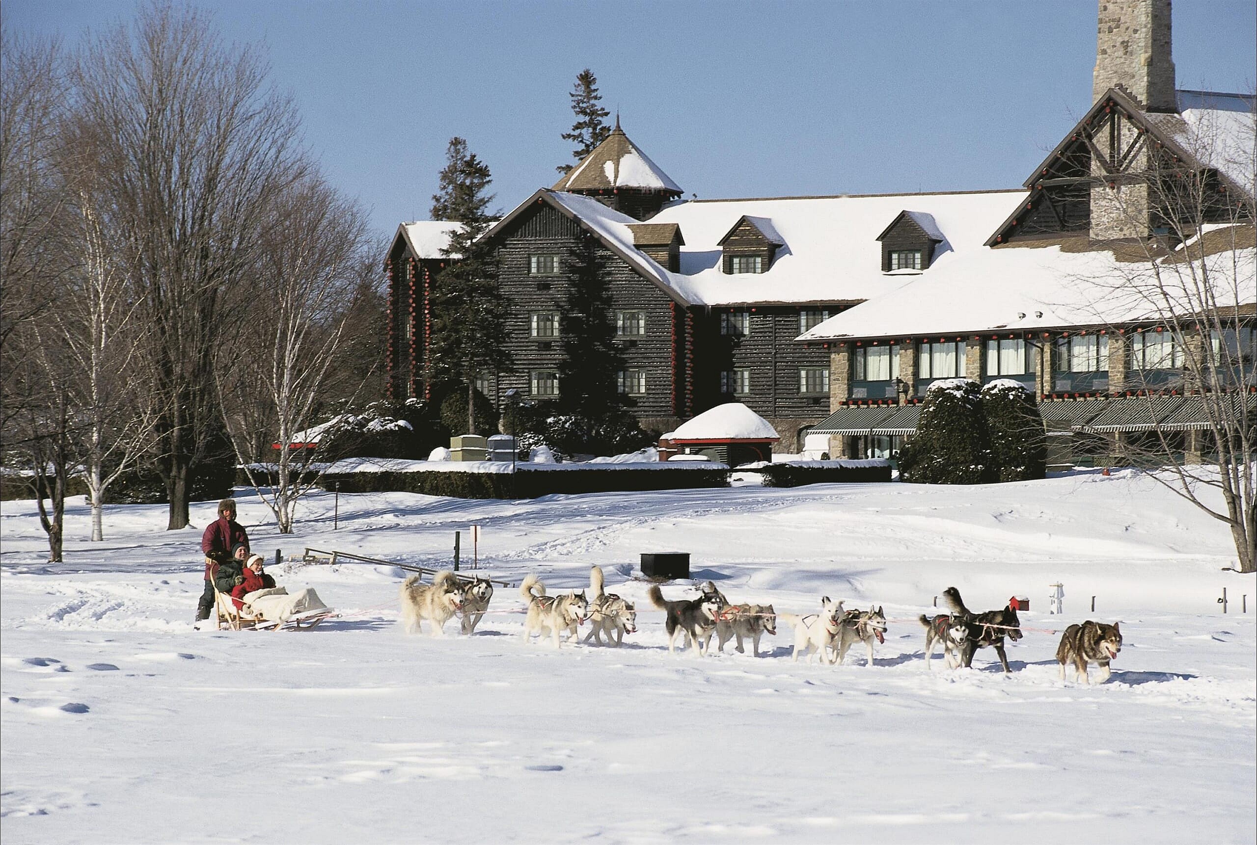 Dog Sledding_491586_high