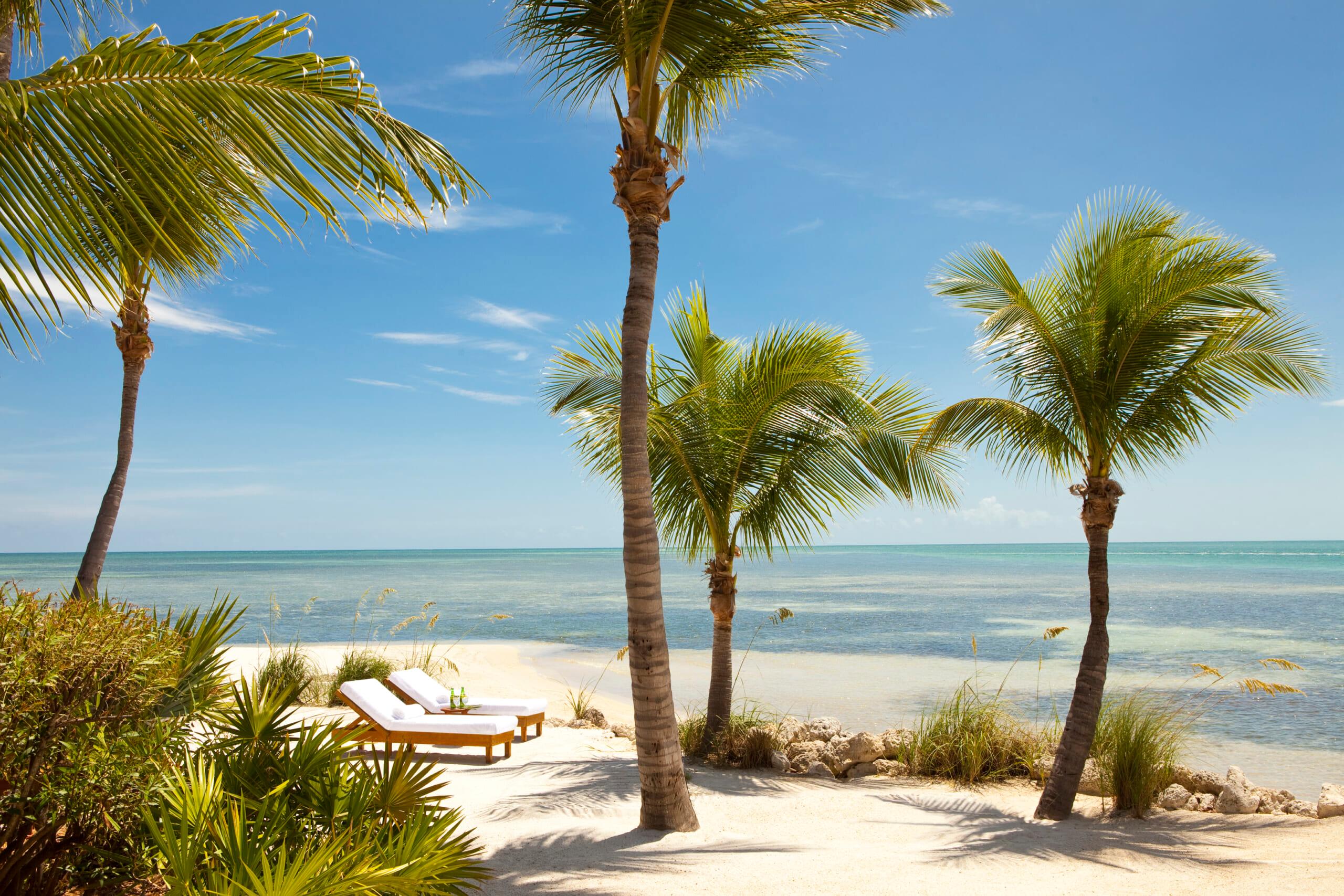 Paradise 1