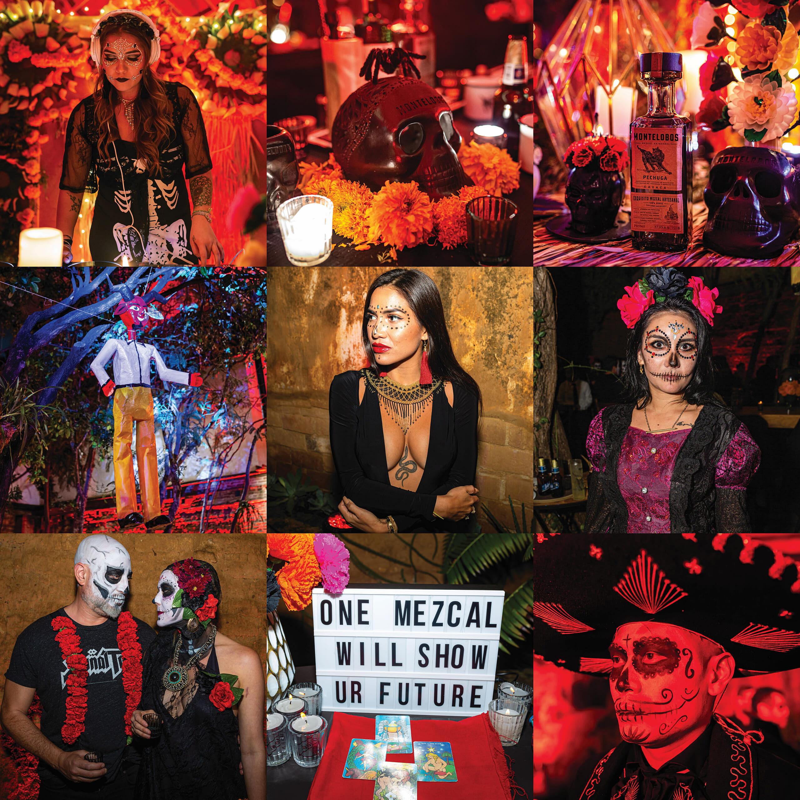 Mezcal (9)