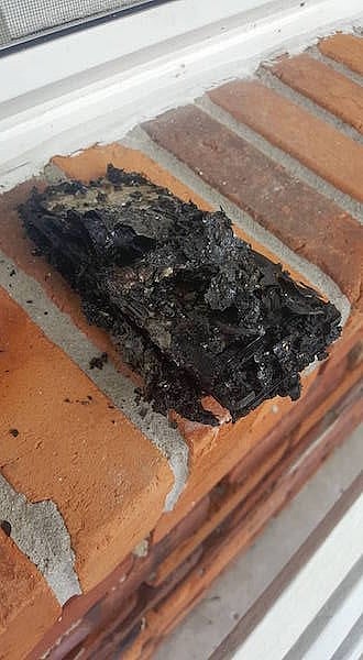 Dornacher's Phone.jpg