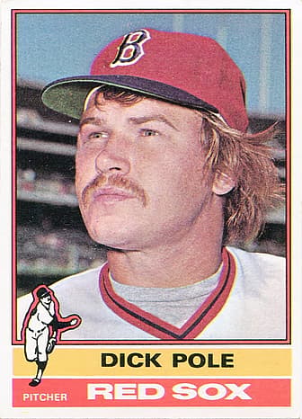 1dick pole.jpg