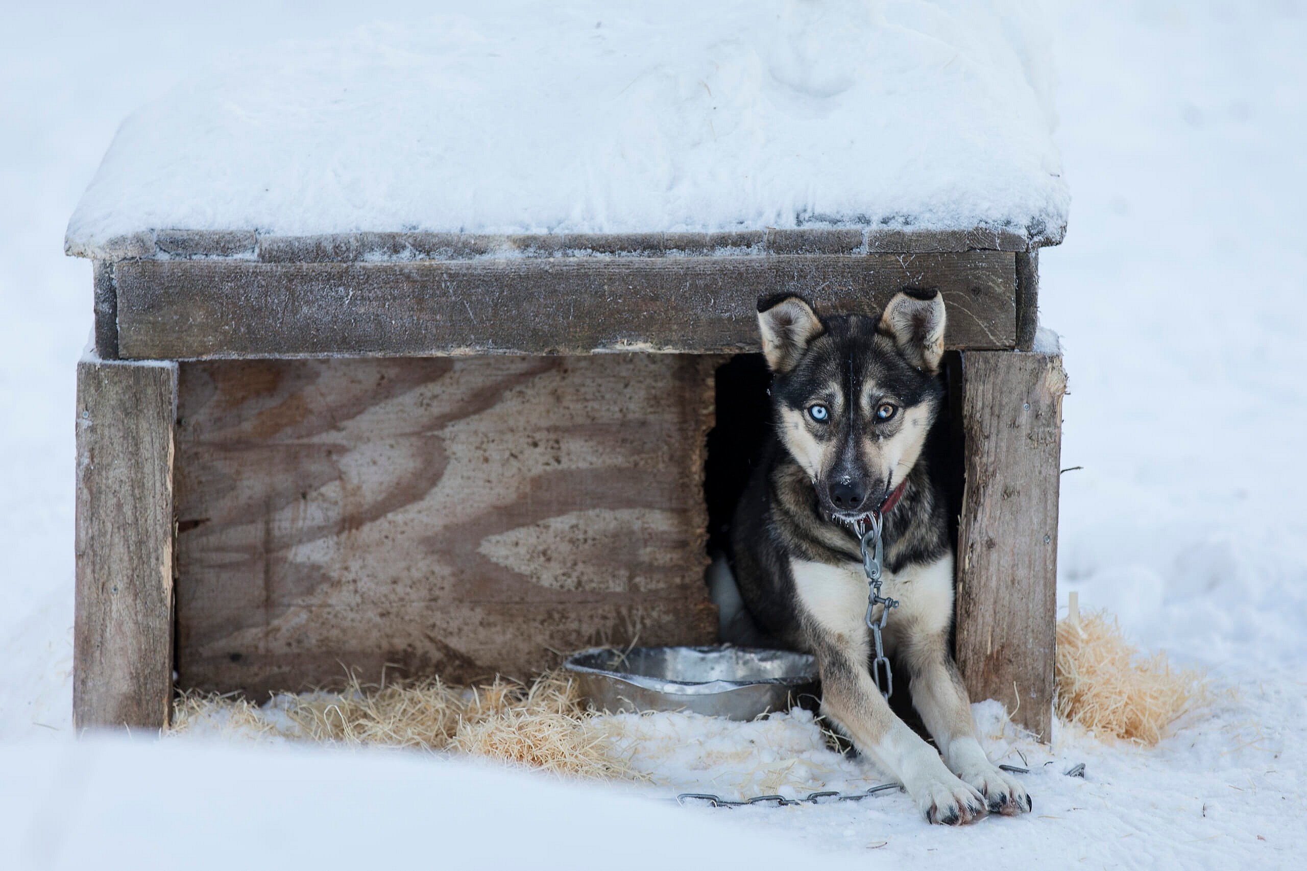 Pure McLaren Arctic Experience - 570S Spider -079