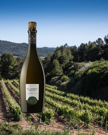 Albet i Noya Cremant