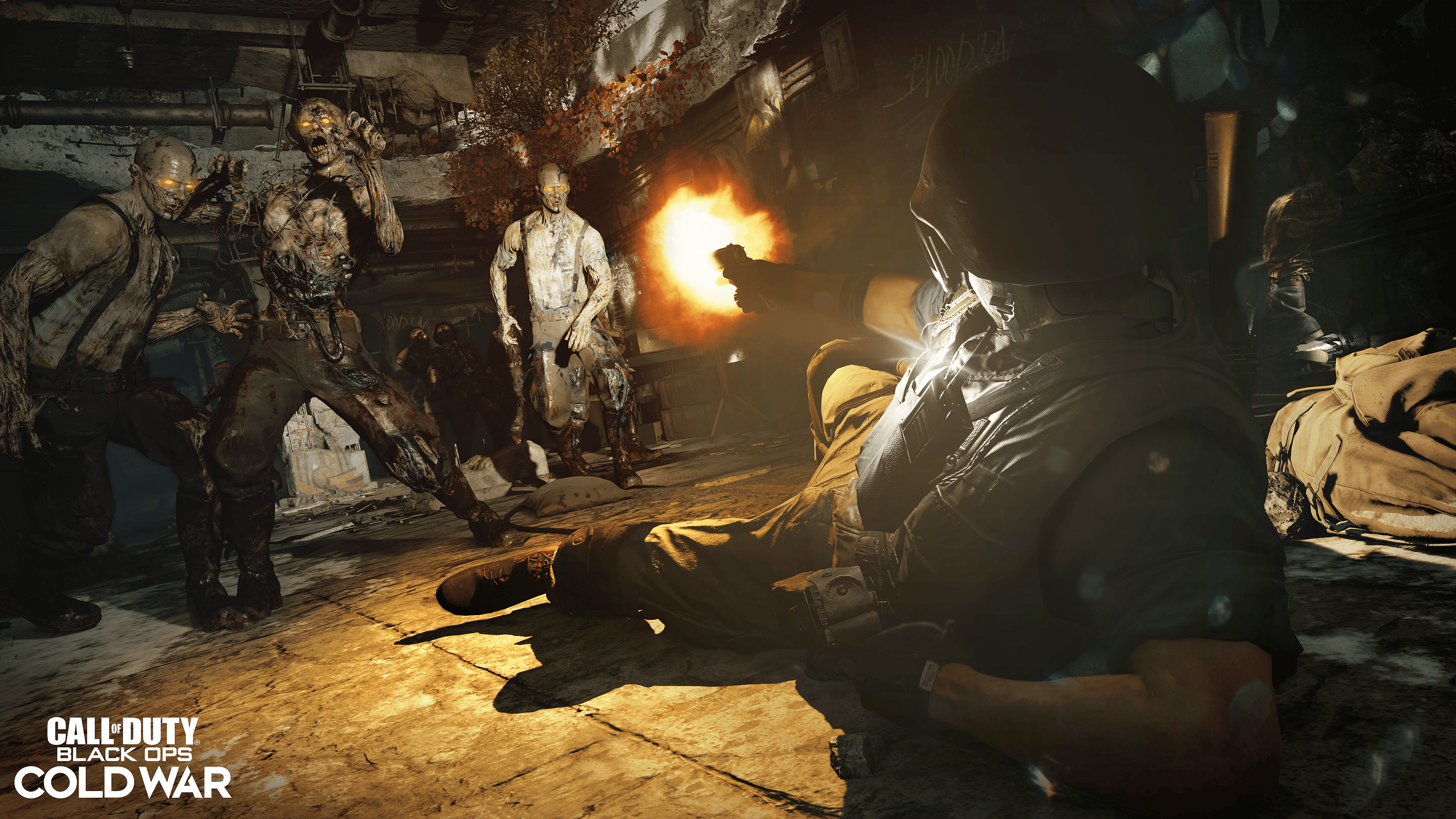 Call of Duty Black Ops Cold War Zombies