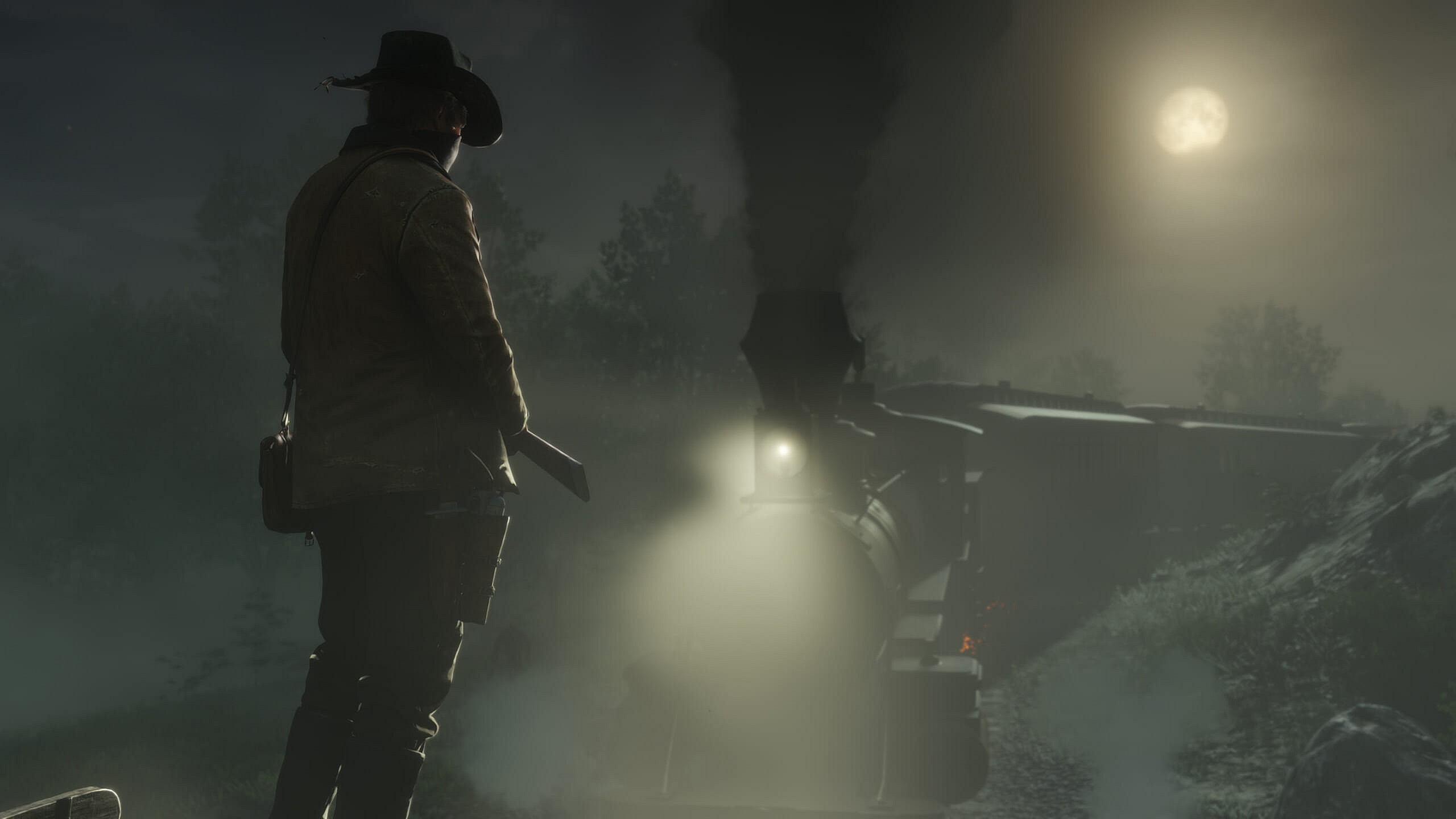 RDR2_Screenshot 172