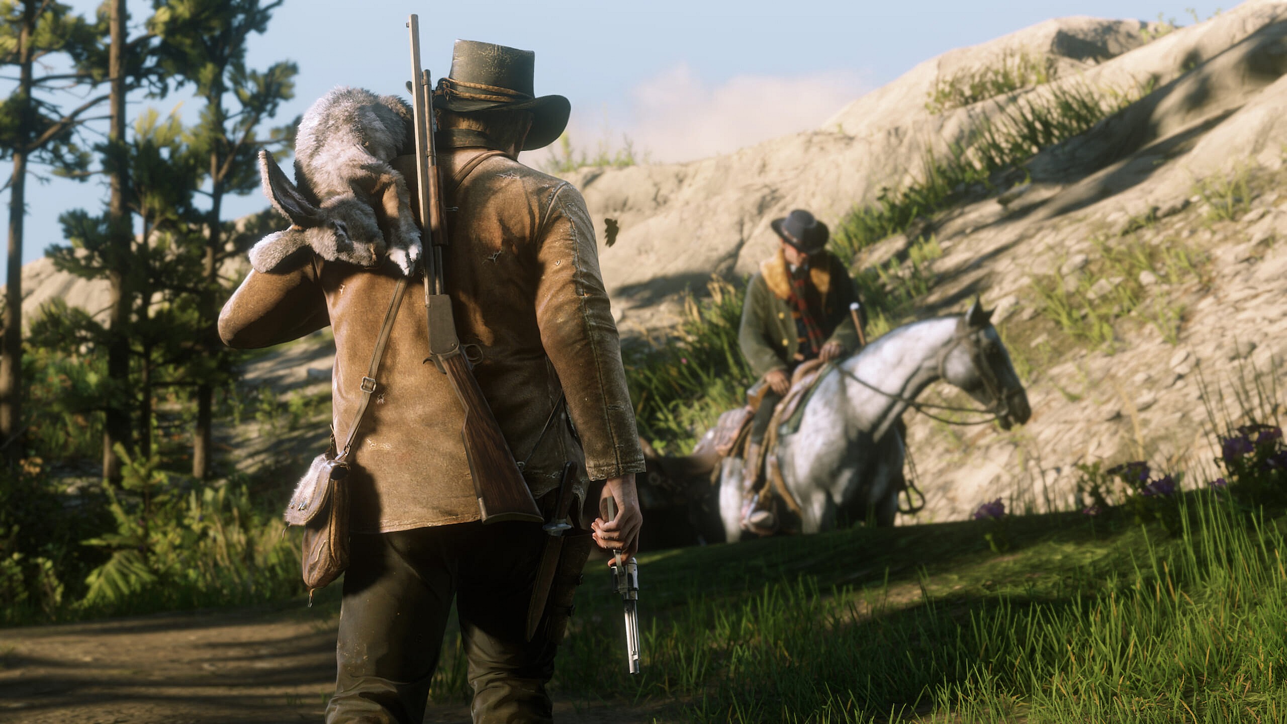 RDR2_Screenshot 208