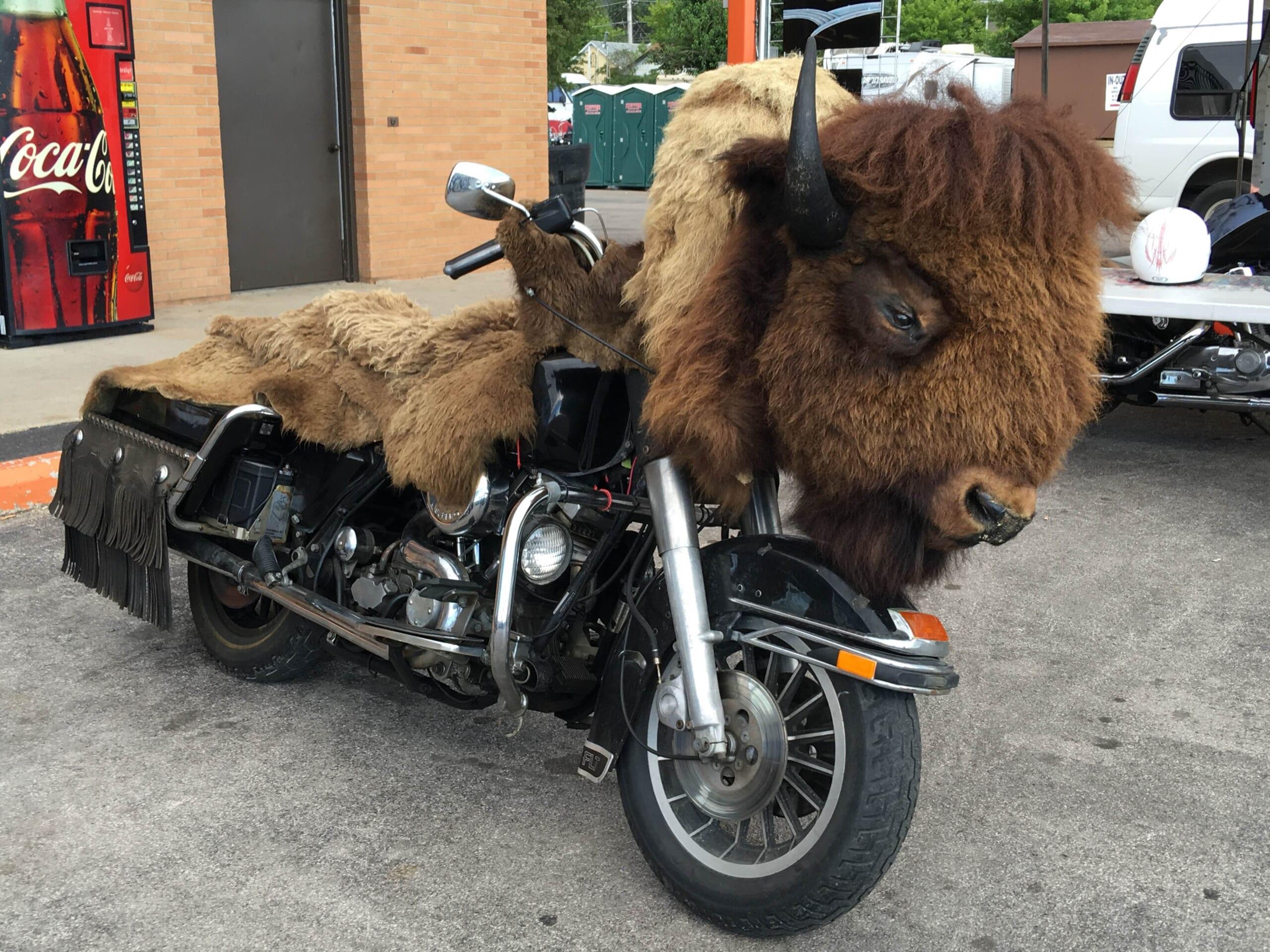 Sturgis_BIKE 2.JPG