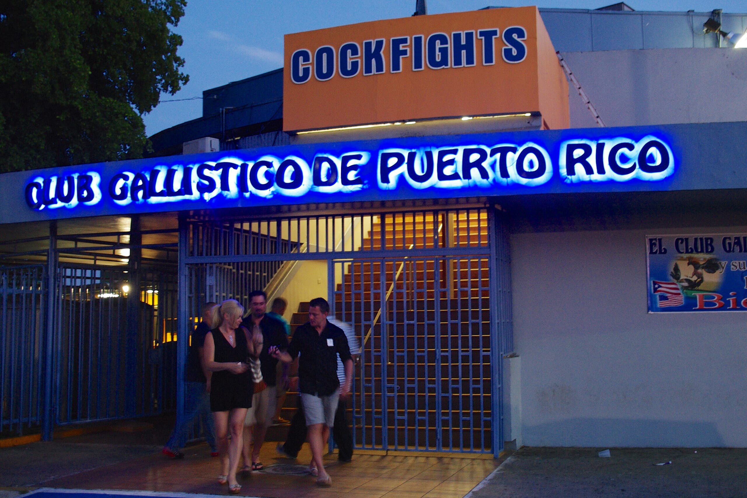 cockfighting5.jpg