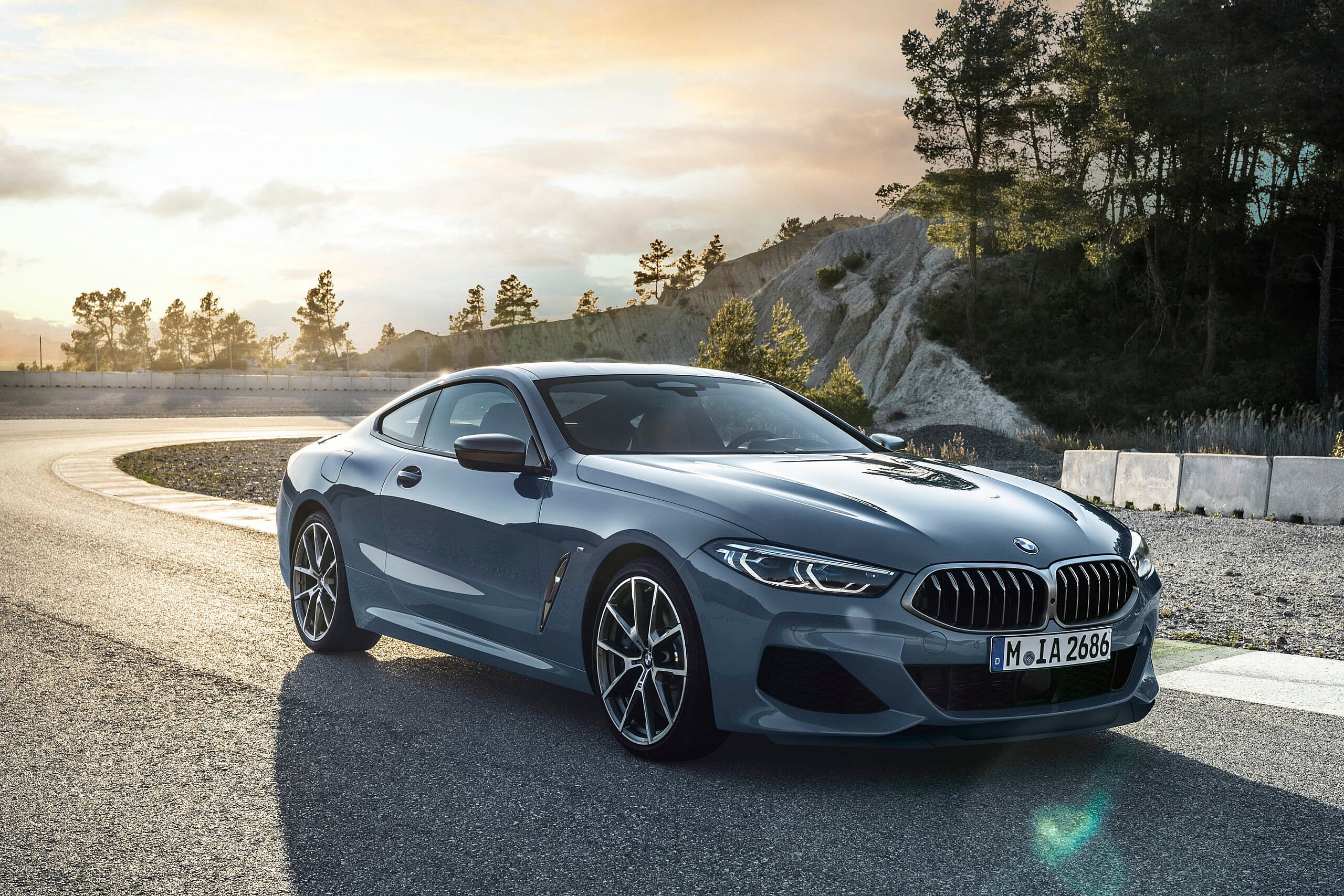 BMW 8-Series
