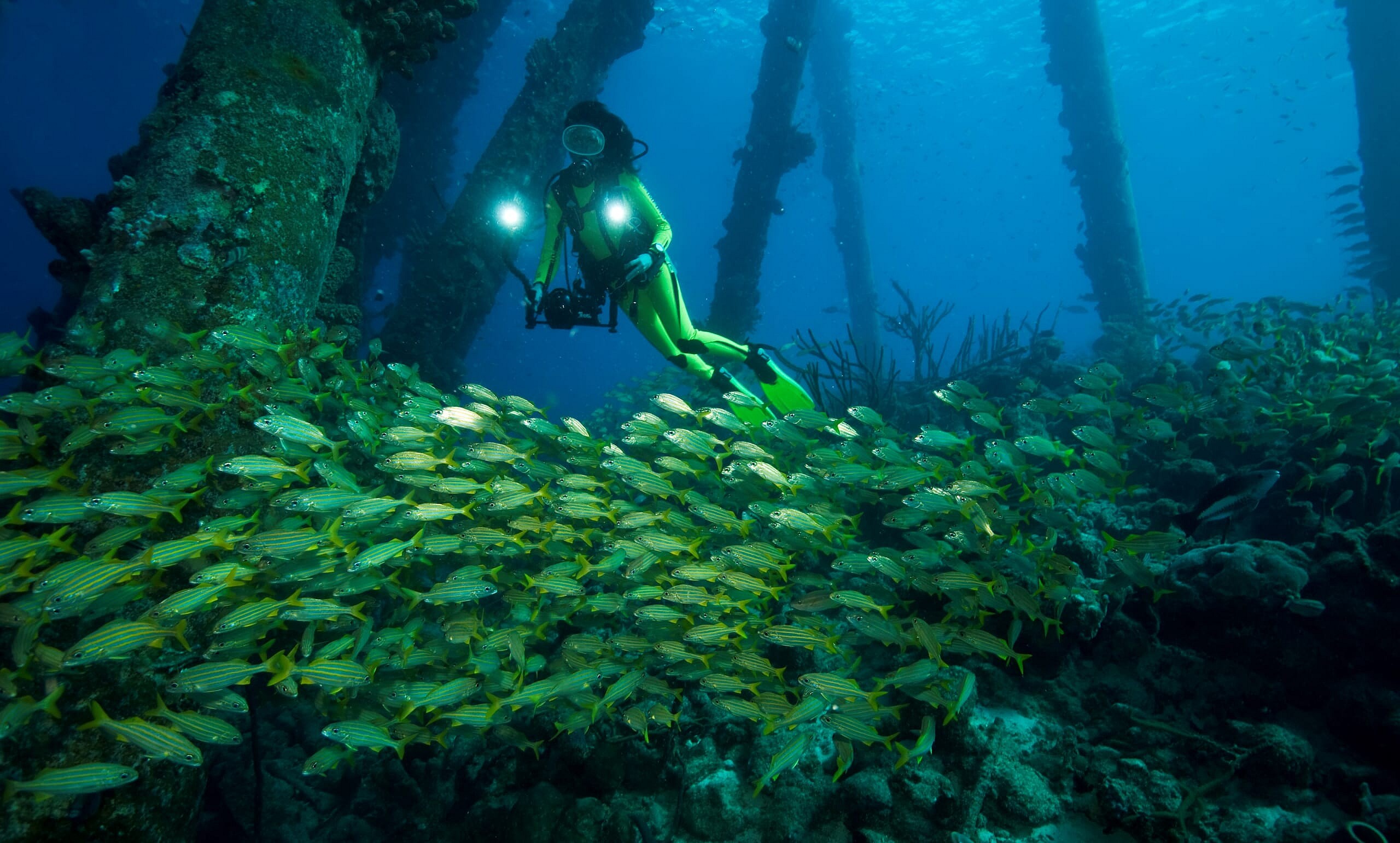 Bonaire Scuba Diving