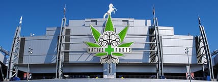 native-roots-MAIN.jpg