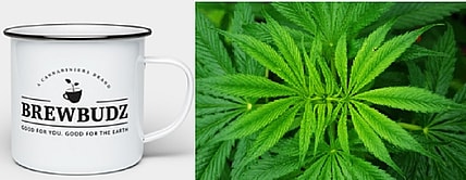 Weed and Coffee BrewBudz