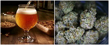 weedbeer