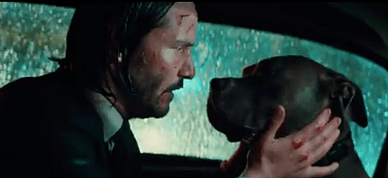 john-wick-3-dog-cab