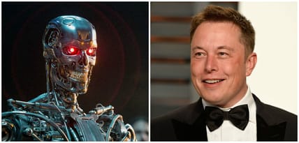 elon robot