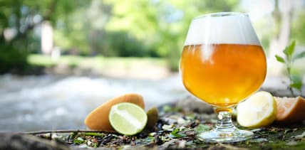 Best Summer Beers