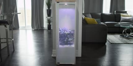 The Grobo cannabis home growing system (Photo: Grobo)