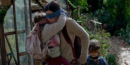 bird box