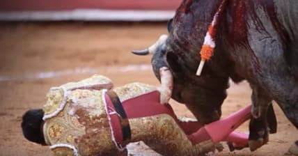 Gored Bull Fighter Promo