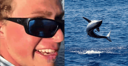 Mako Shark Bro