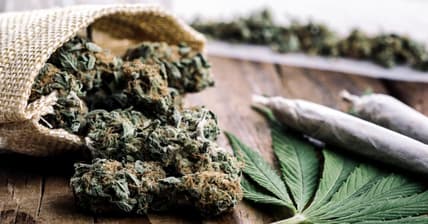 Marijuana Promo