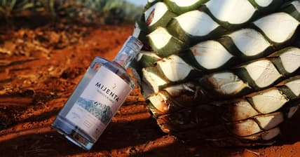 mijenta tequila promo