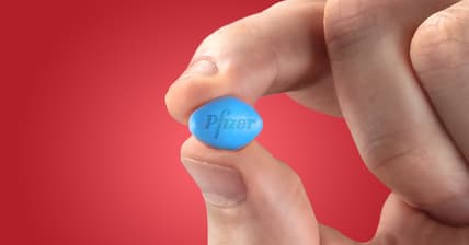 Rex MD Promo 2