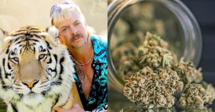 Joe Exotic marijuana promo