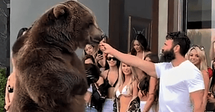 Dan Bilzerian PETA Promo