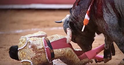 Gored Bull Fighter Promo