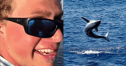 Mako Shark Bro