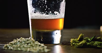 weedbeerpromo