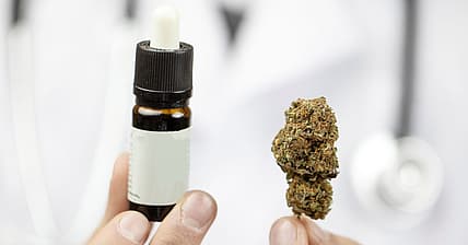 CBD Marijuana Promo