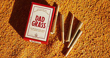 Dad Grass Promo