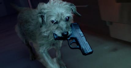 Dog Wick