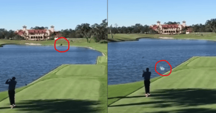 Golfer Kills Duck