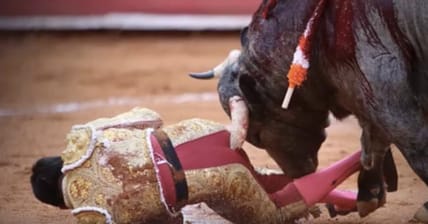 Gored Bull Fighter Promo