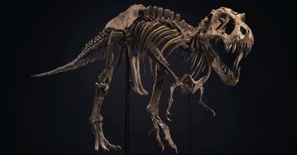 Stan T-Rex Promo