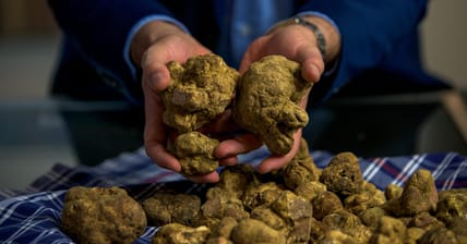 Truffles Promo