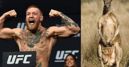 Conor McGregor and a Kangaroo