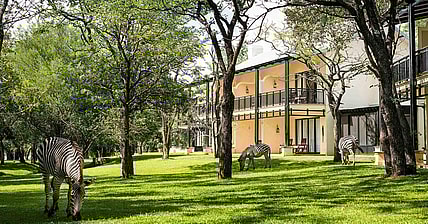 Africa Vacation Promo