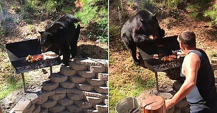 Black Bear Barbecue Promo
