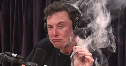Elon Musk Weed Promo