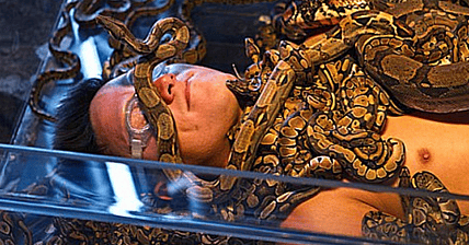 Fear Factor Promo