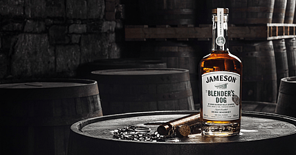 Jameson Blender's Dog